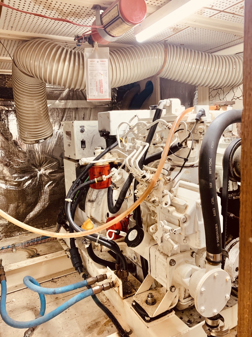 Picure of Little Red