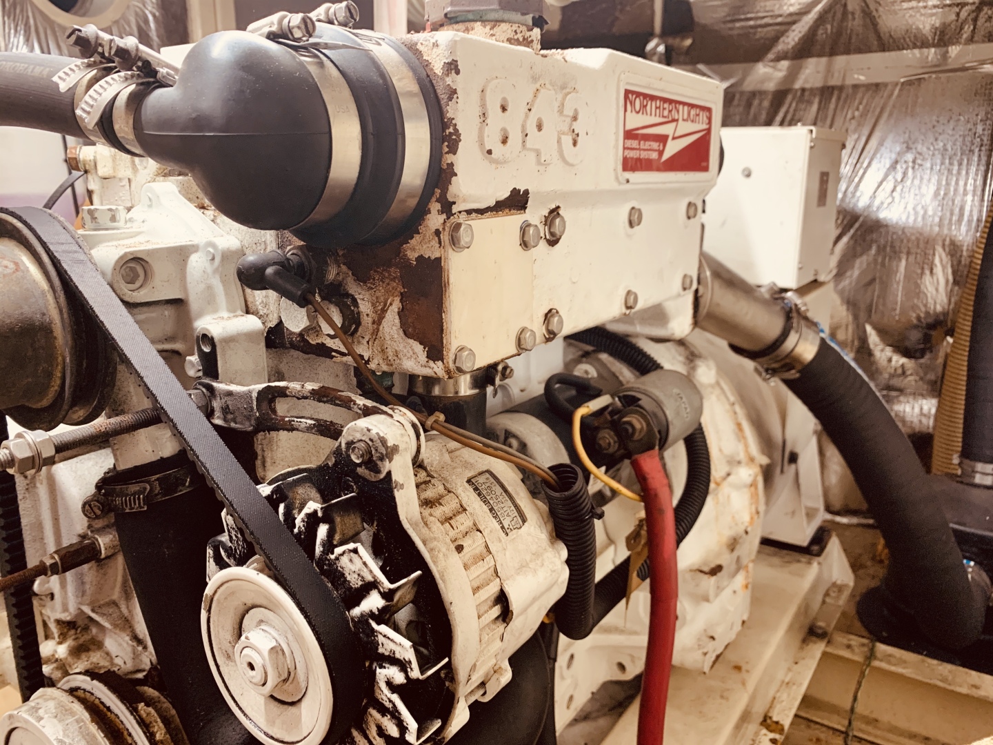 Picure of Little Red