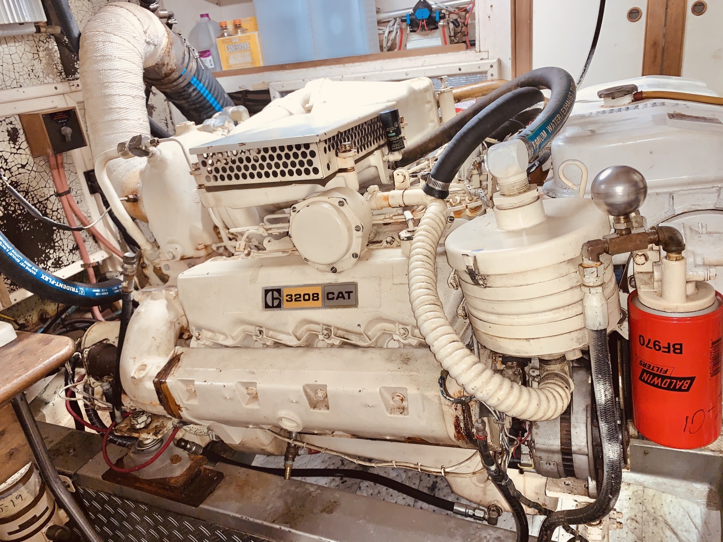 Picure of Little Red