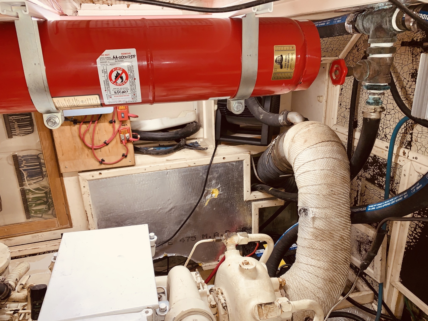 Picure of Little Red