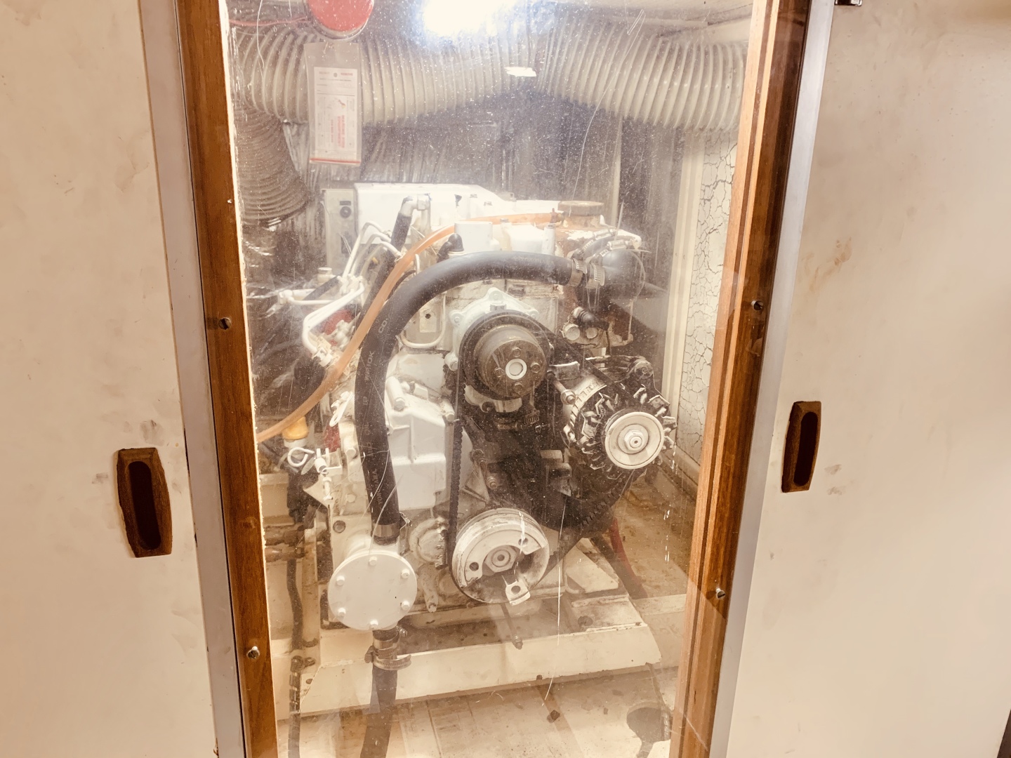 Picure of Little Red