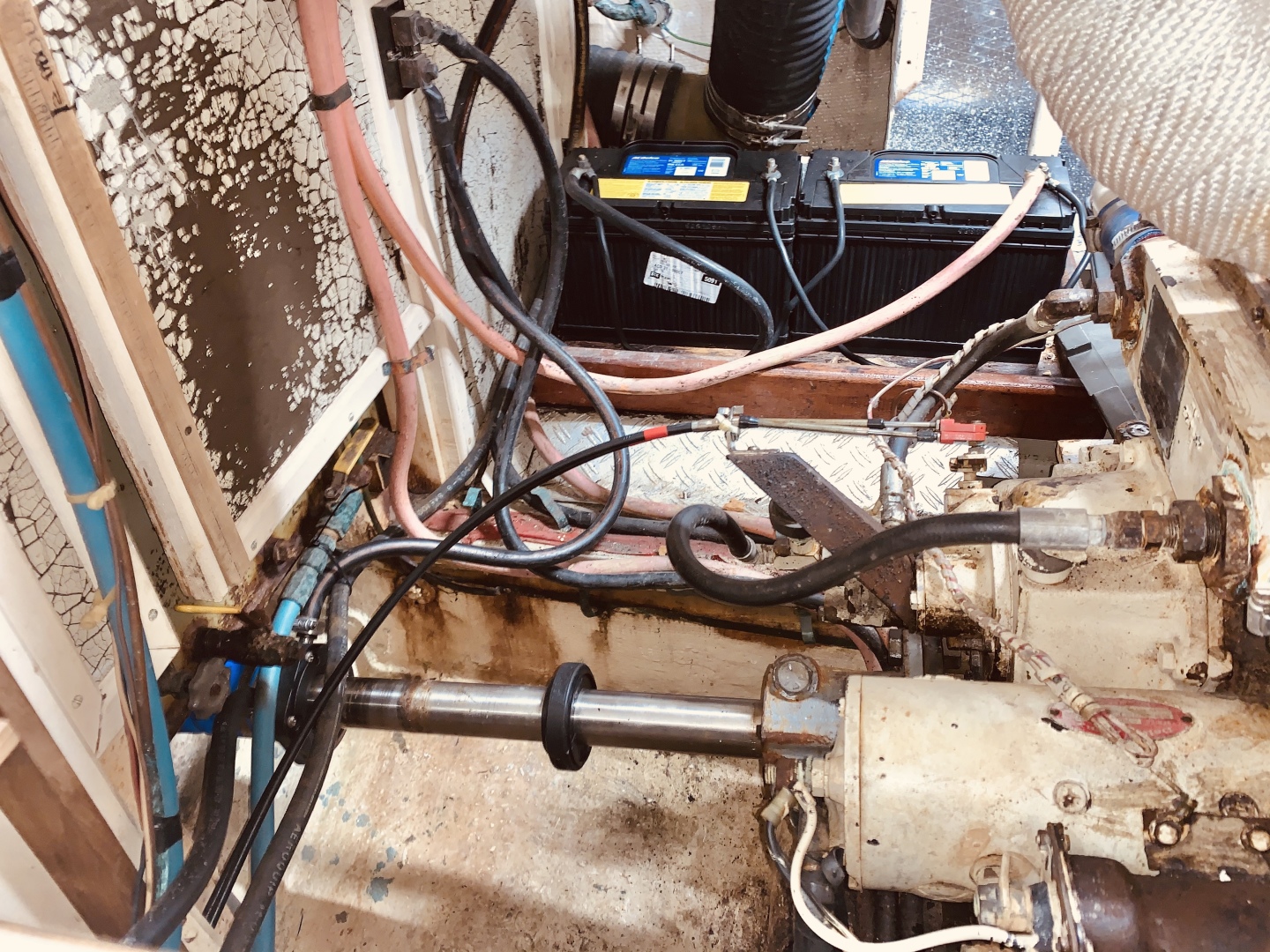 Picure of Little Red