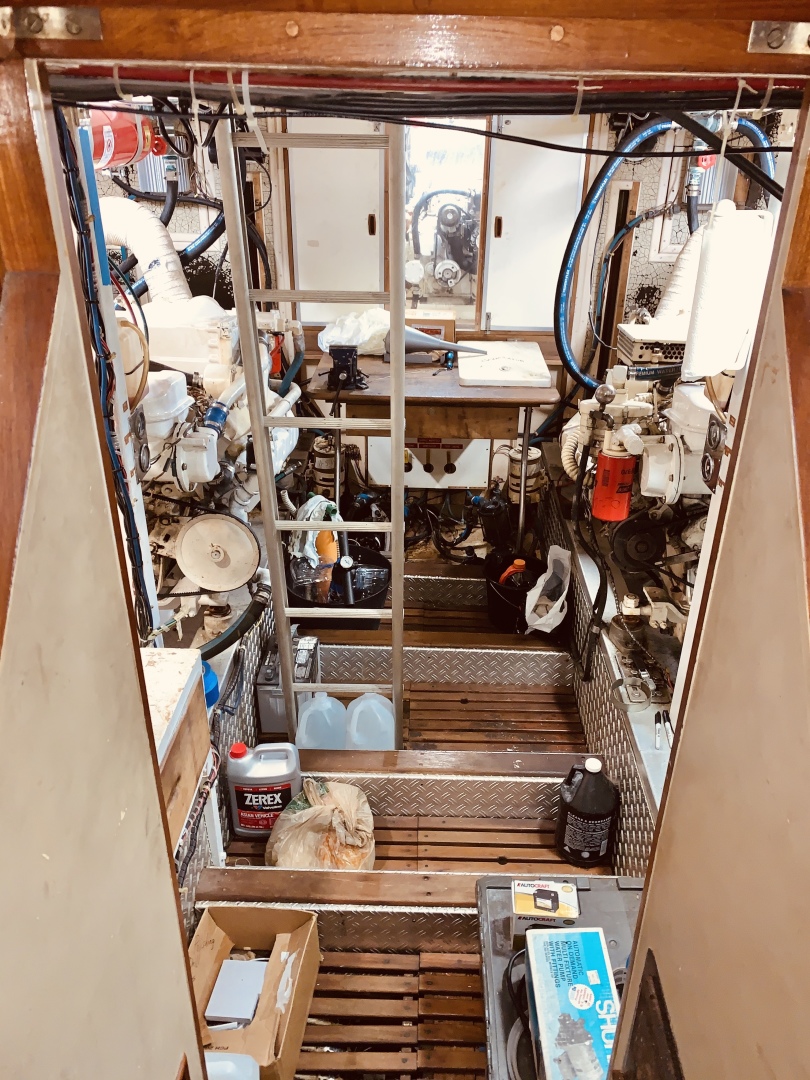 Picure of Little Red