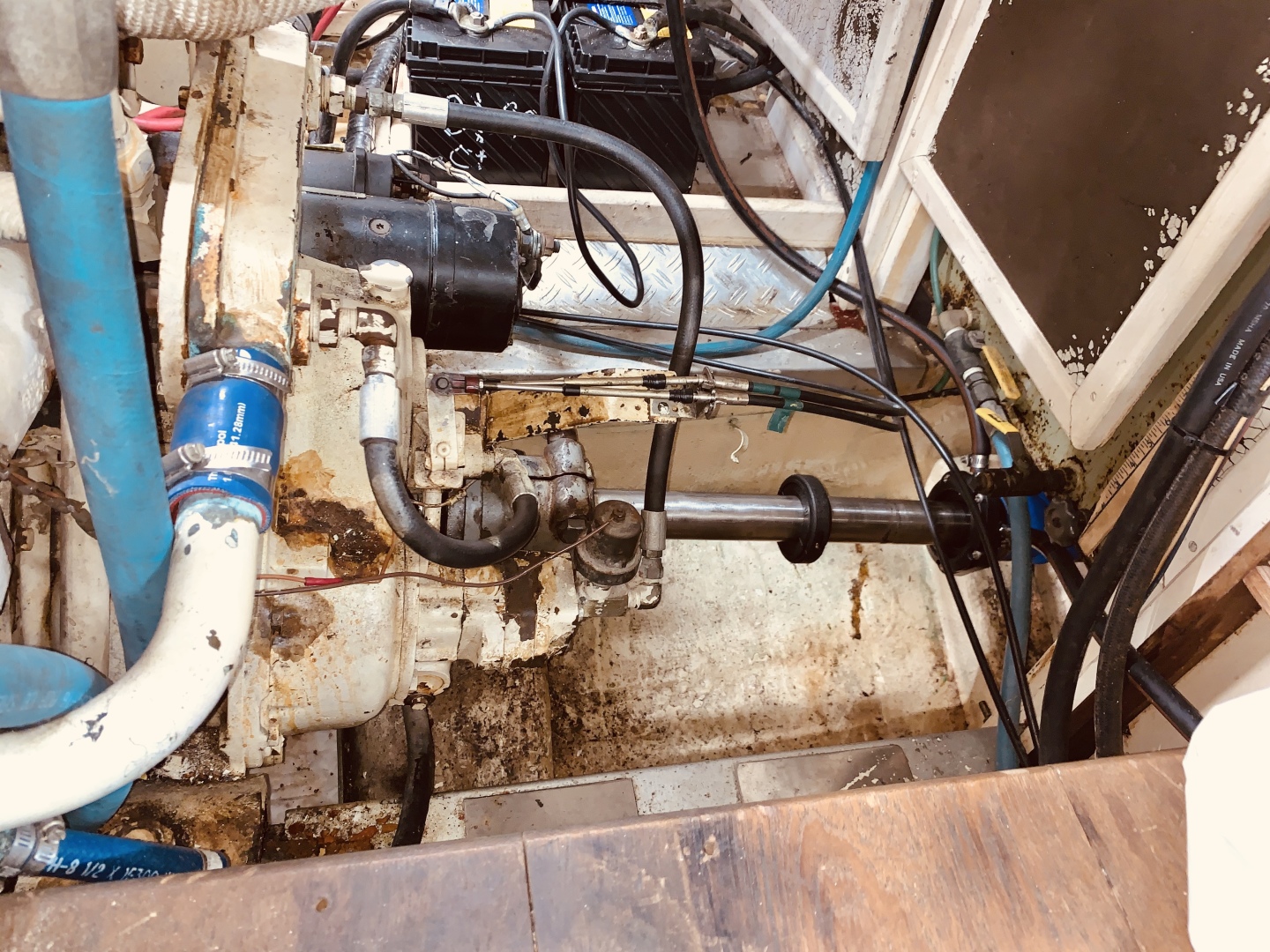 Picure of Little Red