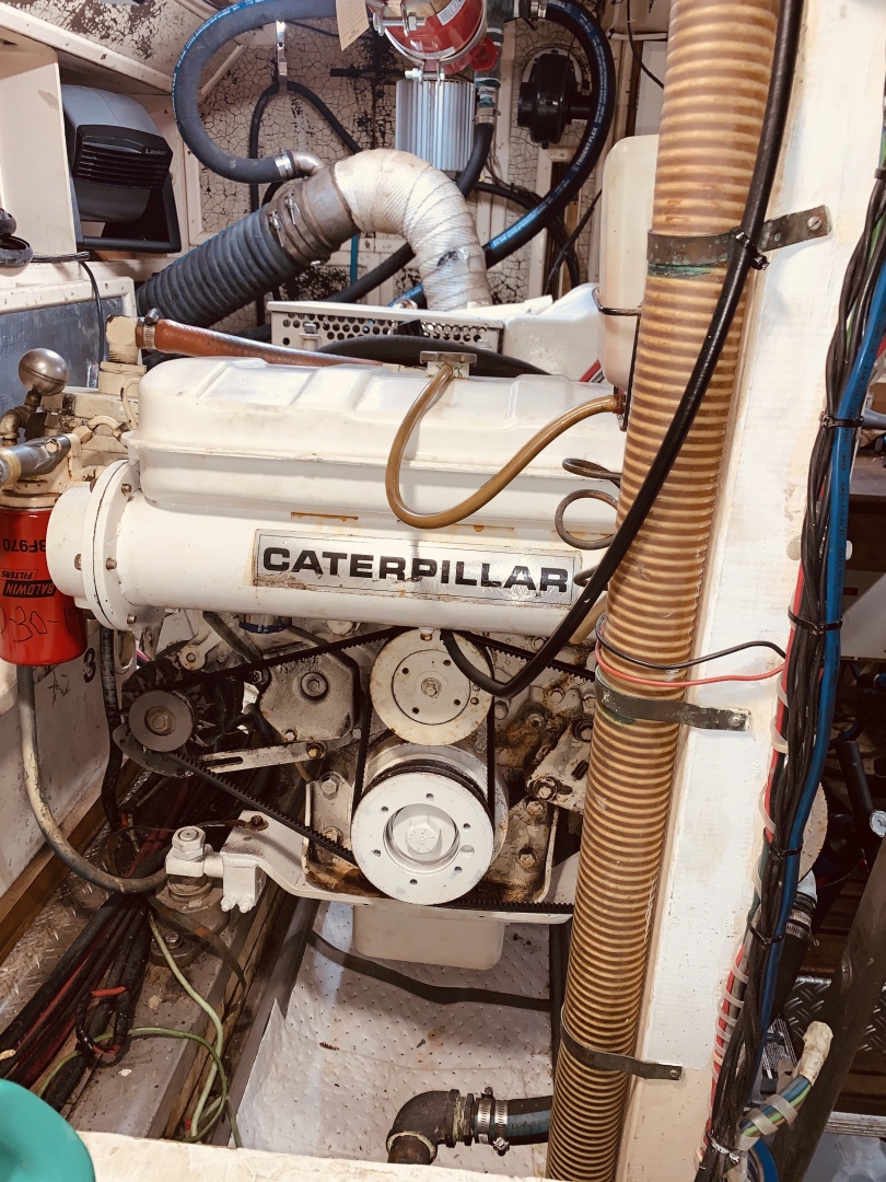 Picure of Little Red