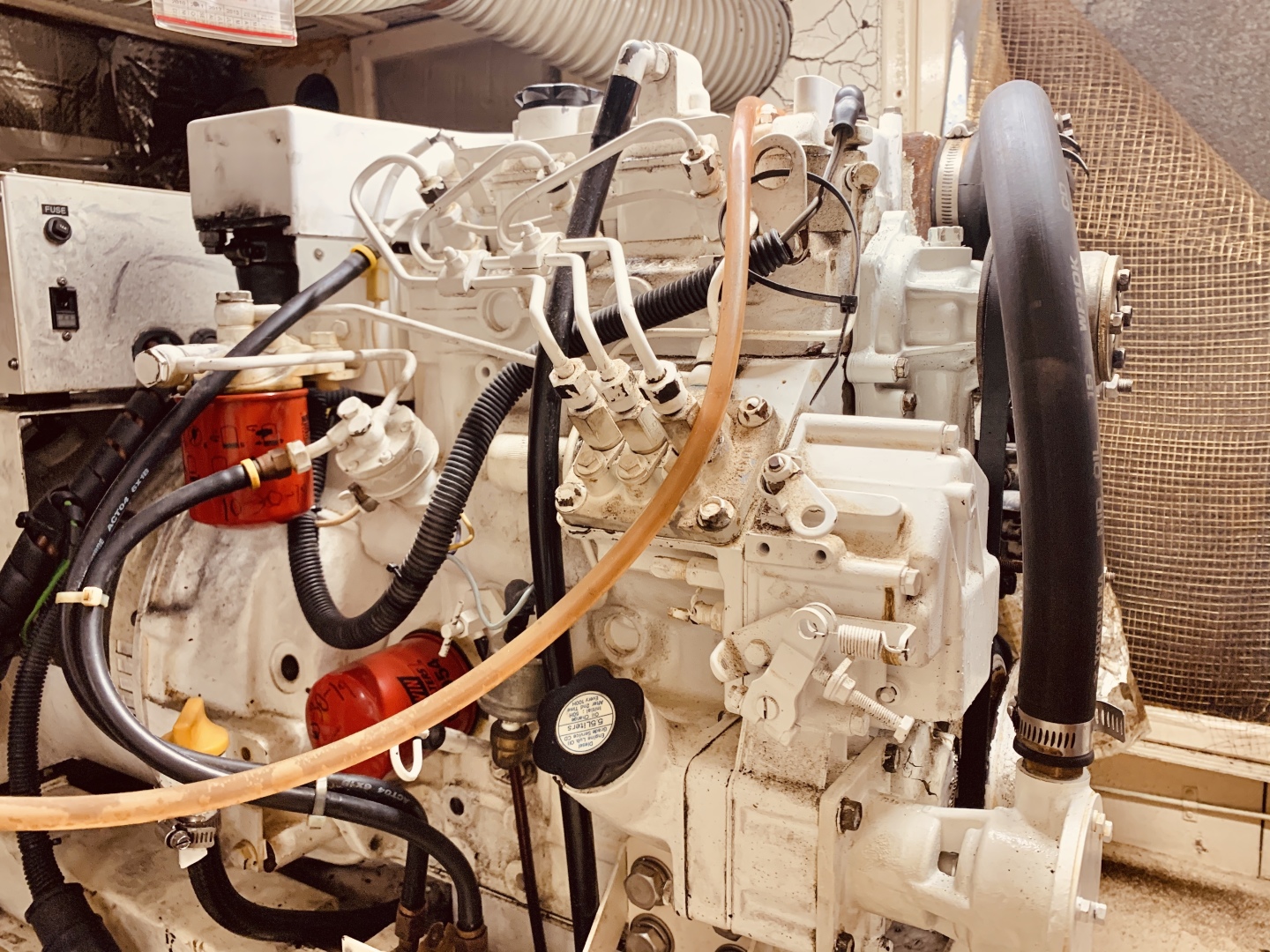 Picure of Little Red