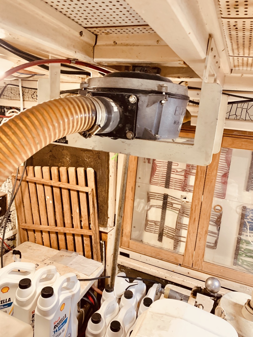 Picure of Little Red