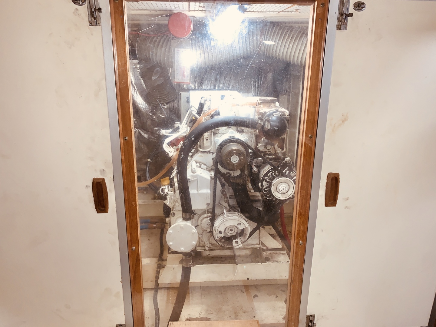 Picure of Little Red