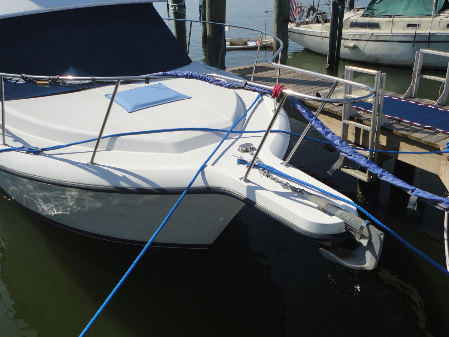 Picure of Buy The Sea