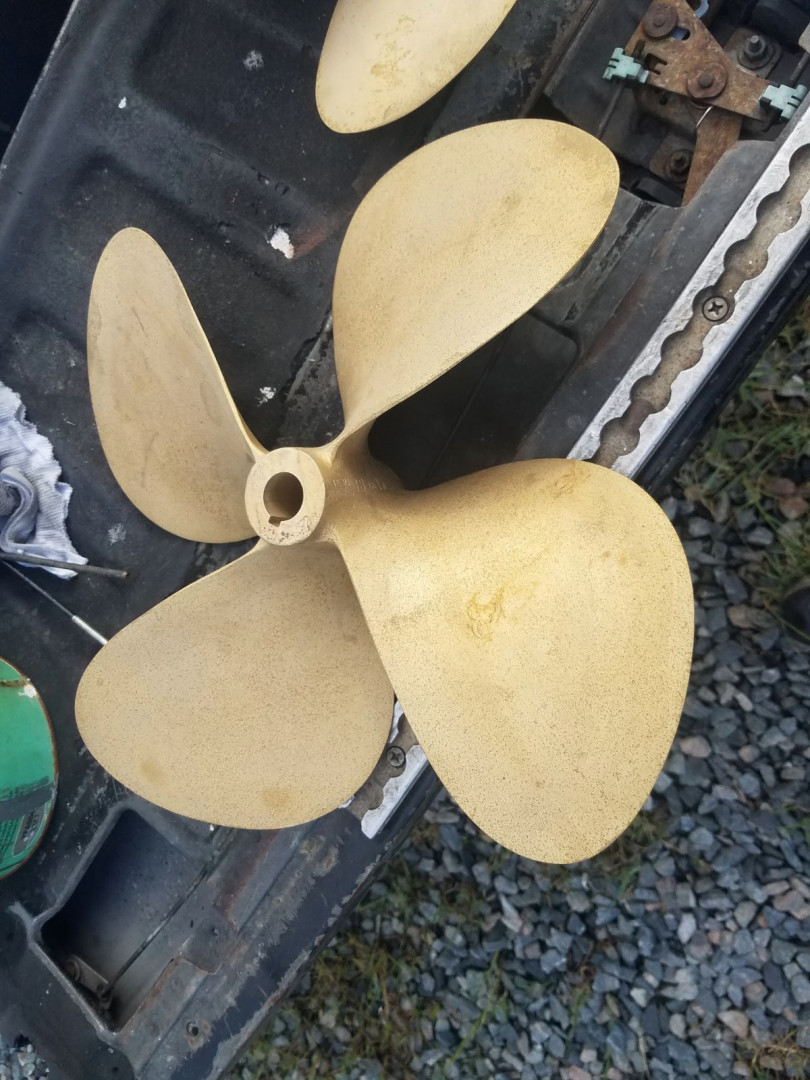 Picure of Buy The Sea