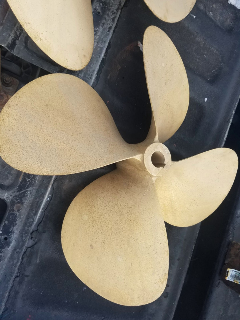 Picure of Buy The Sea