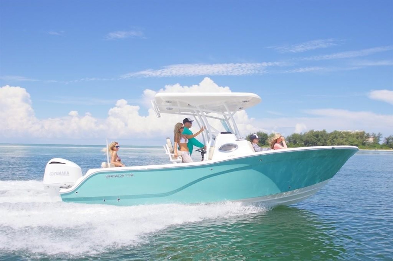 2022 Sea Fox 249 Avenger for sale