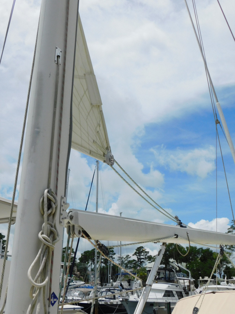 Picure of Sail La Vie