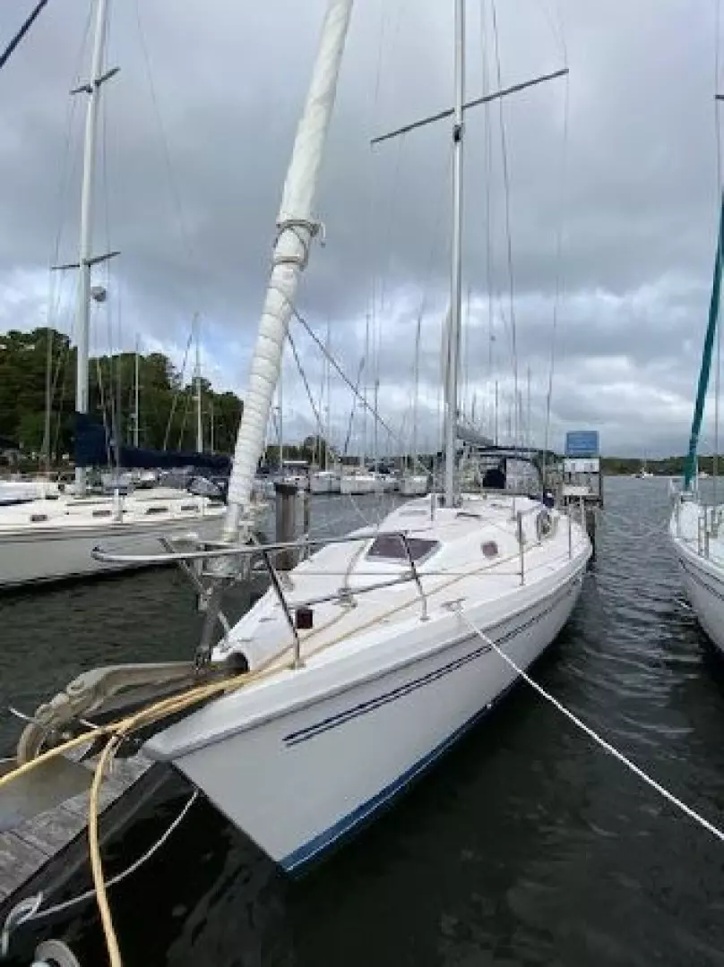 Sea Renity Now 38ft Catalina Yacht For Sale Sea Renity Now 38ft Catalina Yacht For Sale
