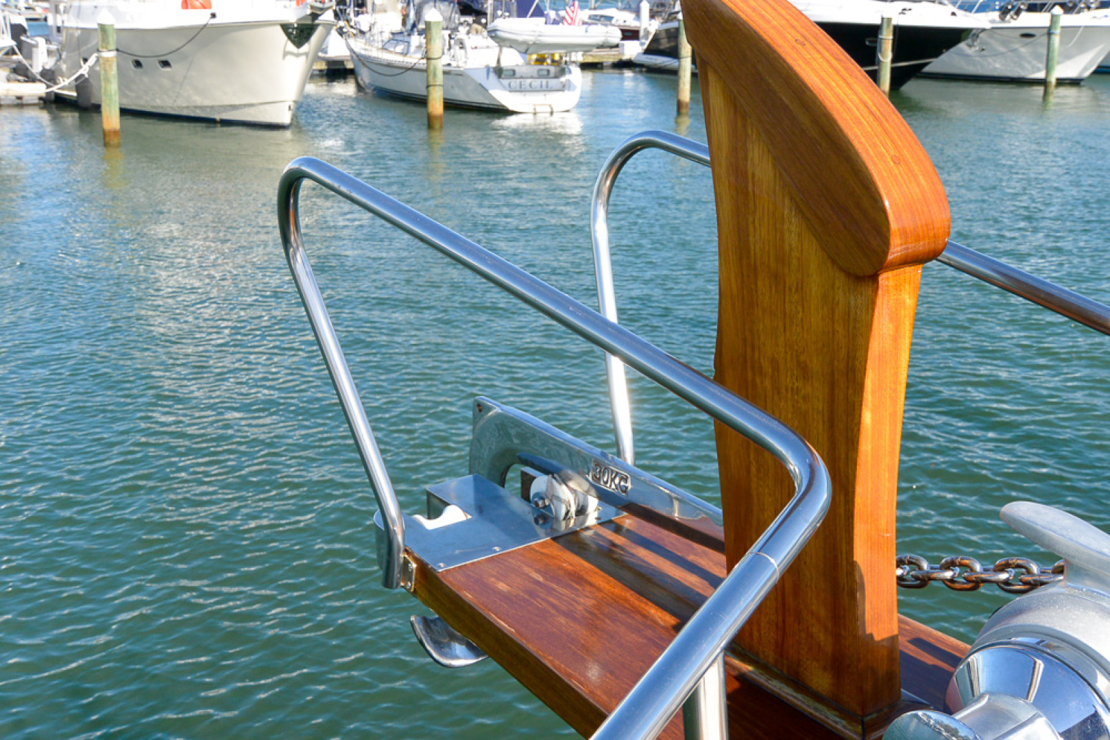 Picure of Tortuga Blanca