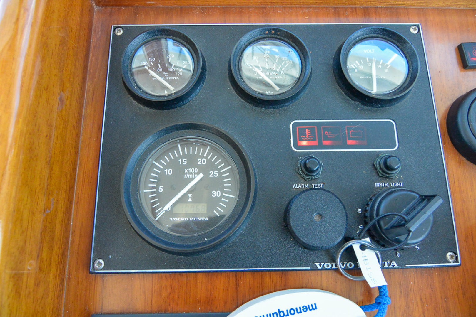 Picure of Tortuga Blanca