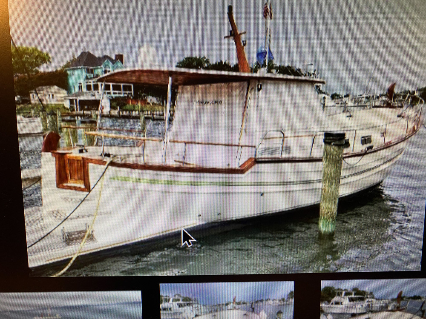 Picure of Tortuga Blanca