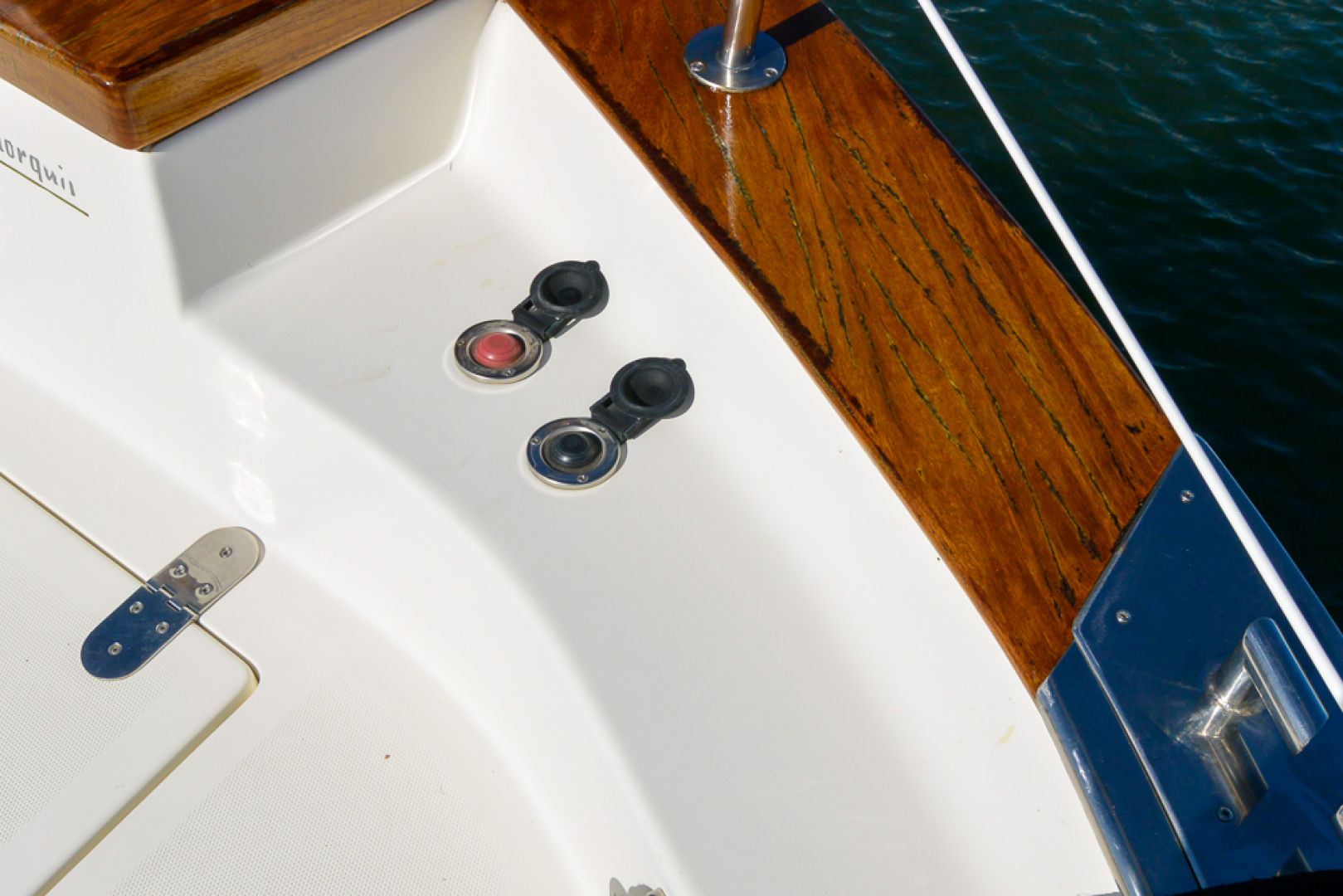 Picure of Tortuga Blanca