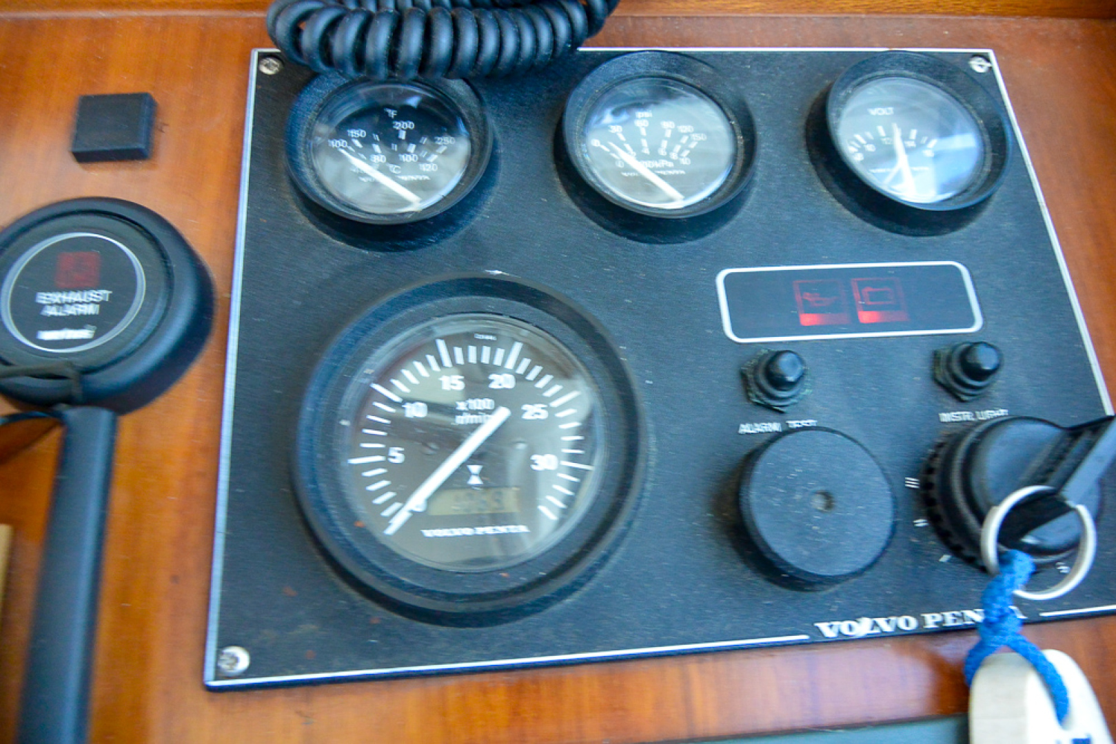 Picure of Tortuga Blanca