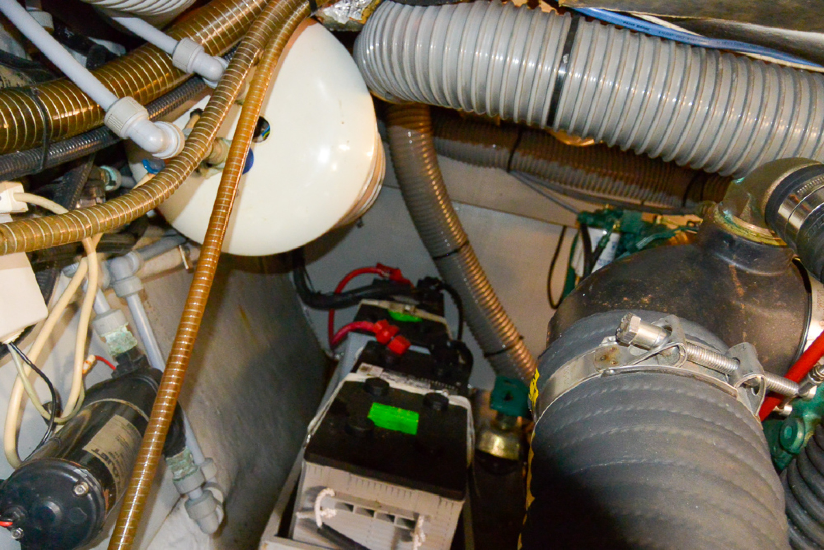 Picure of Tortuga Blanca