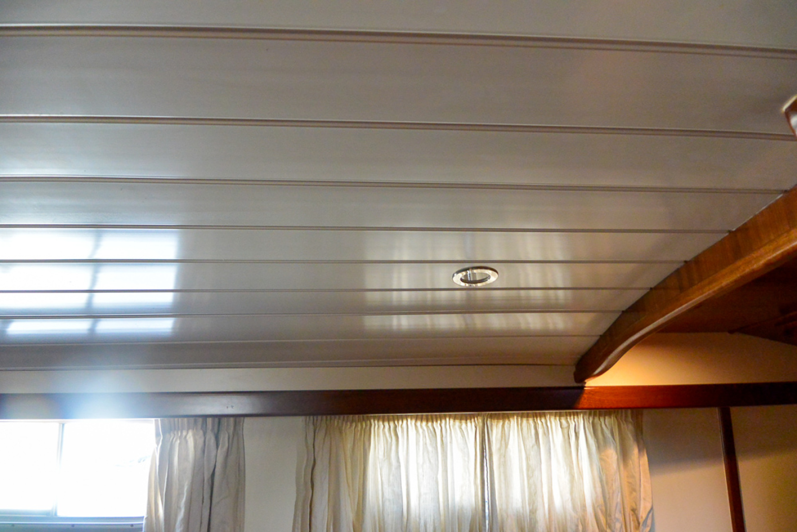 Picure of Tortuga Blanca