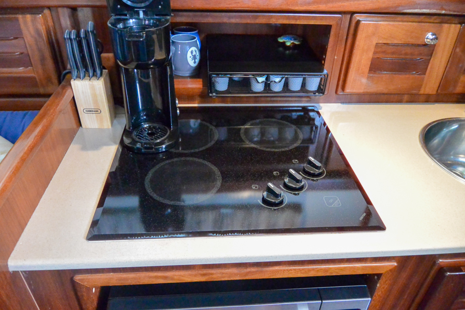 Picure of Tortuga Blanca