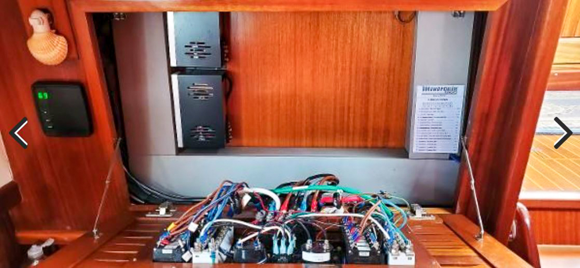 Picure of Tortuga Blanca