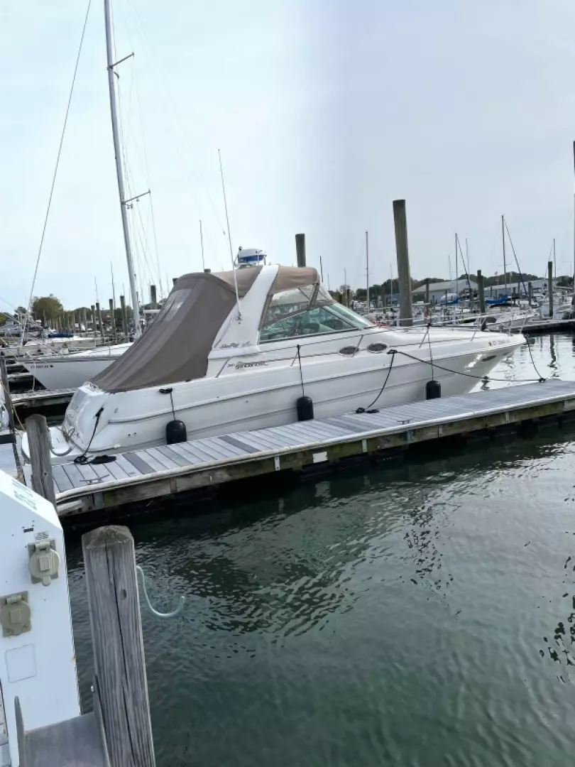 Take Me Out 31ft Sea Ray Yacht For Sale Take Me Out 31ft Sea Ray Yacht For Sale