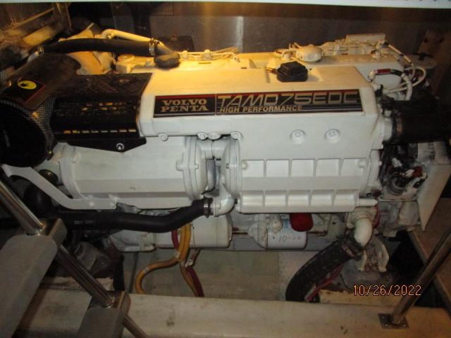 Picure of Very Bullish II