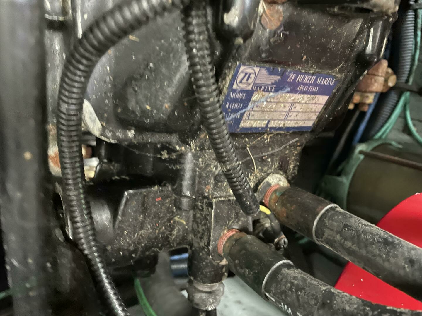 JOHNNY BOY 32ft Sea Ray Yacht For Sale JOHNNY BOY 32ft Sea Ray Yacht For Sale