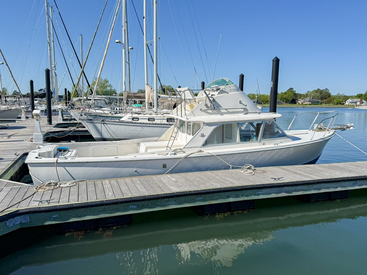 1972 Bertram Fly Bridge Cruiser "Parisea"