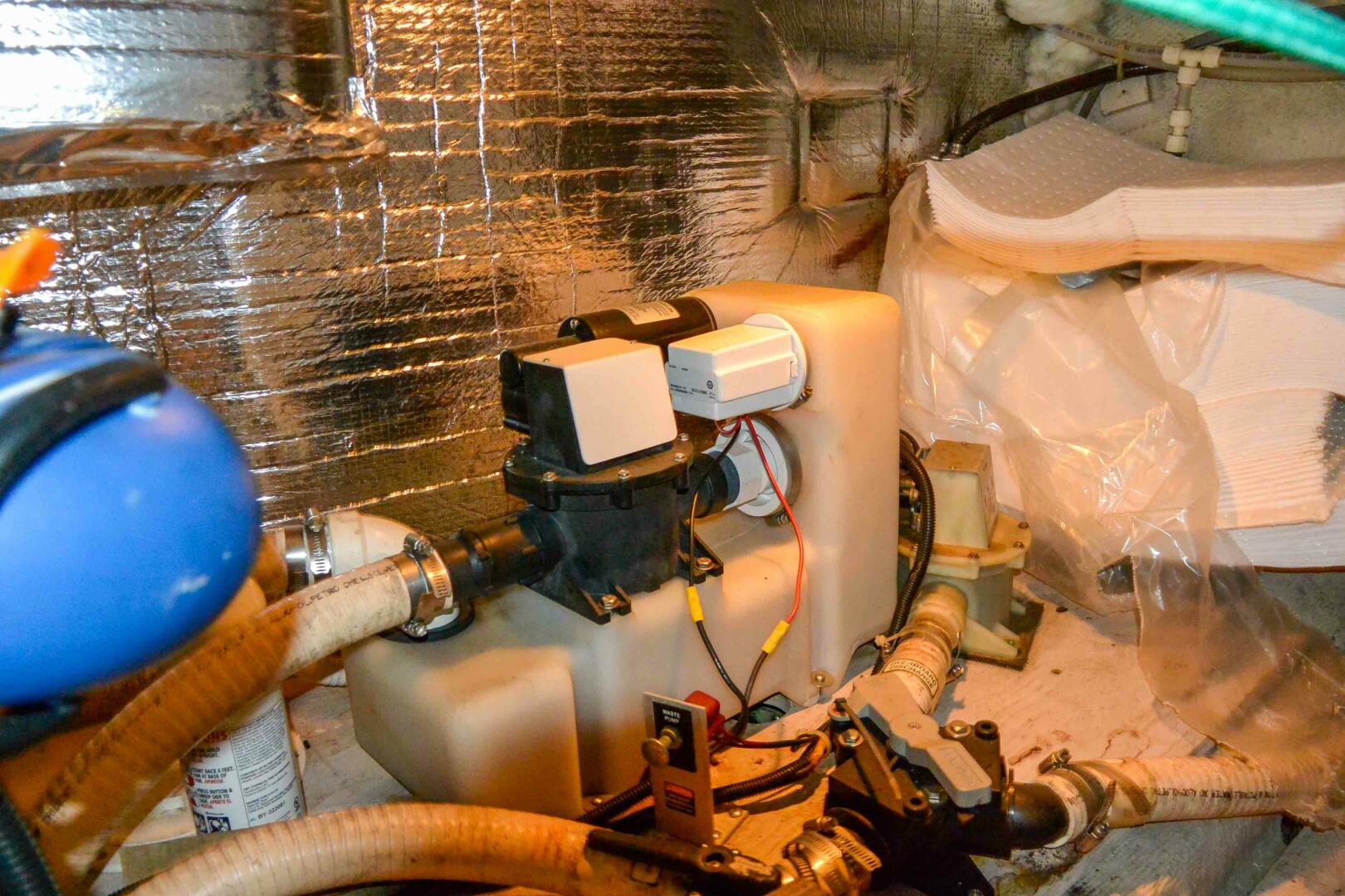 Picure of Miss N Link