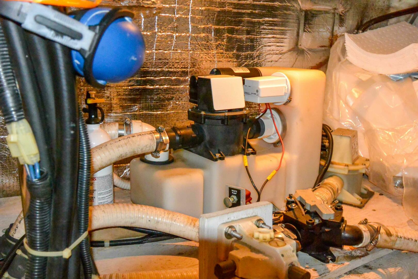 Picure of Miss N Link