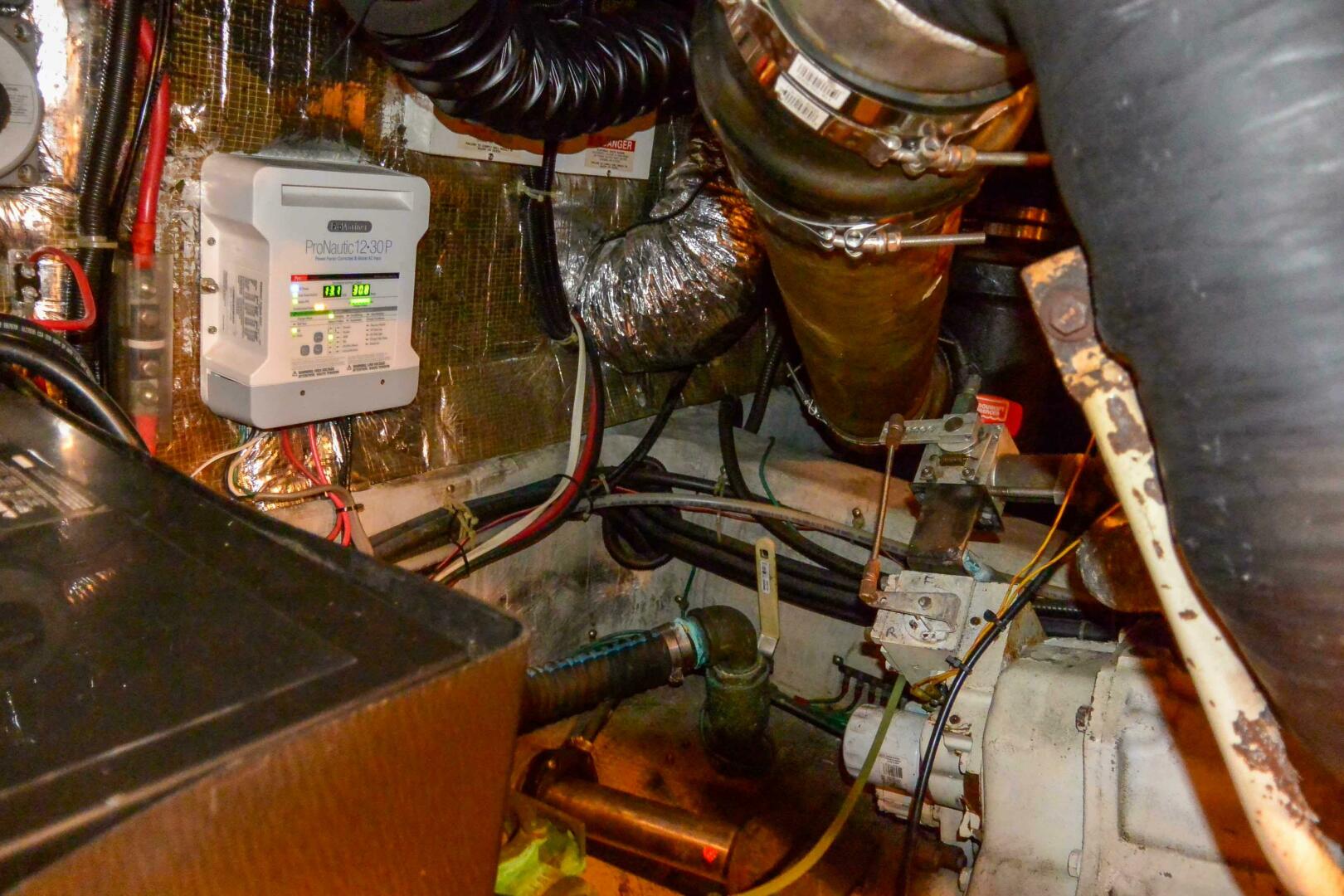 Picure of Miss N Link