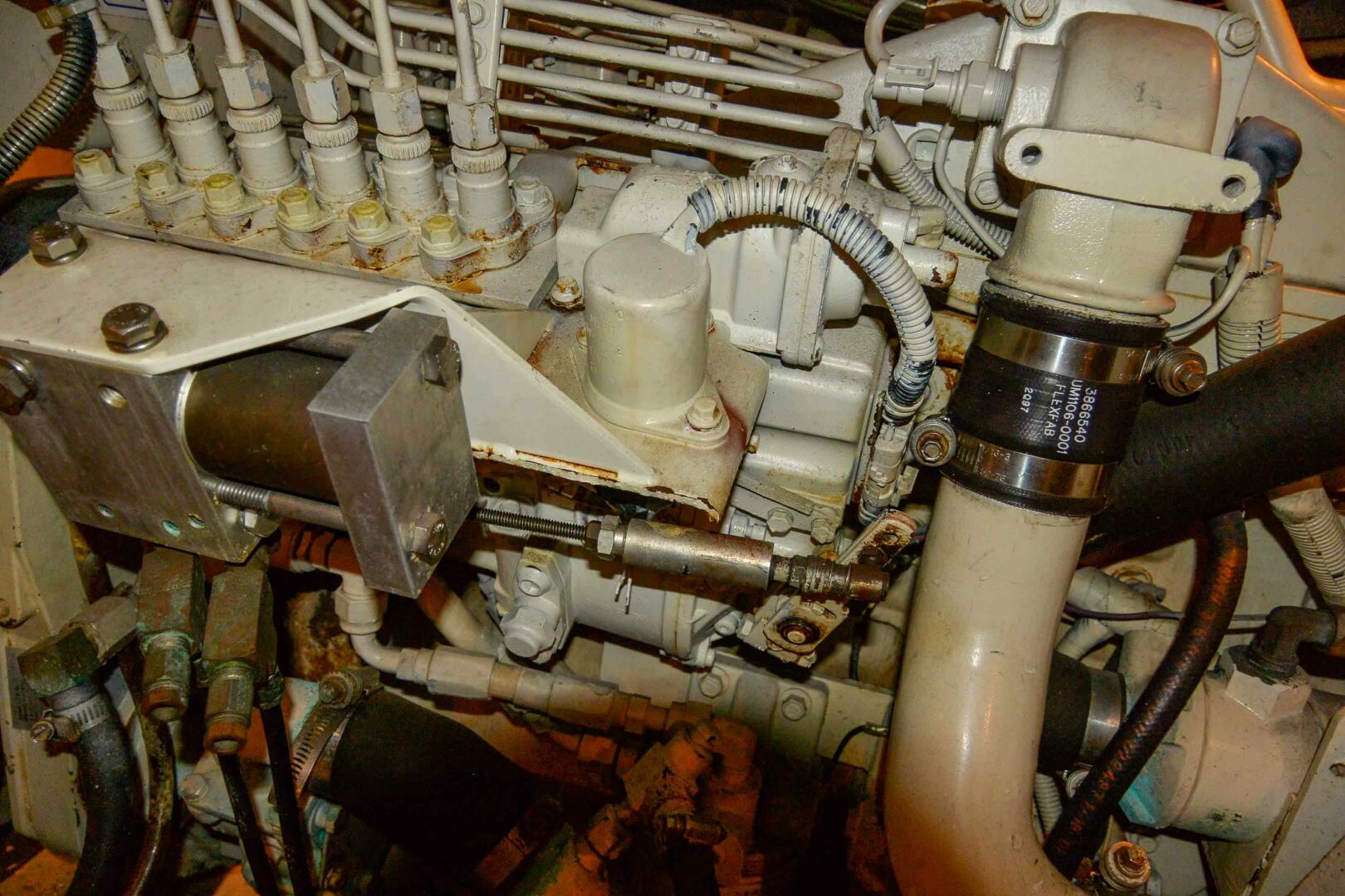 Picure of Miss N Link