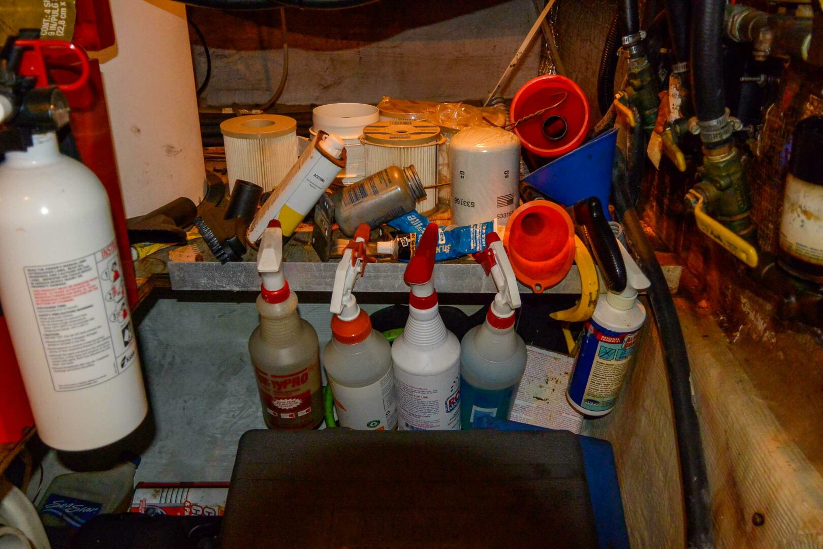 Picure of Miss N Link