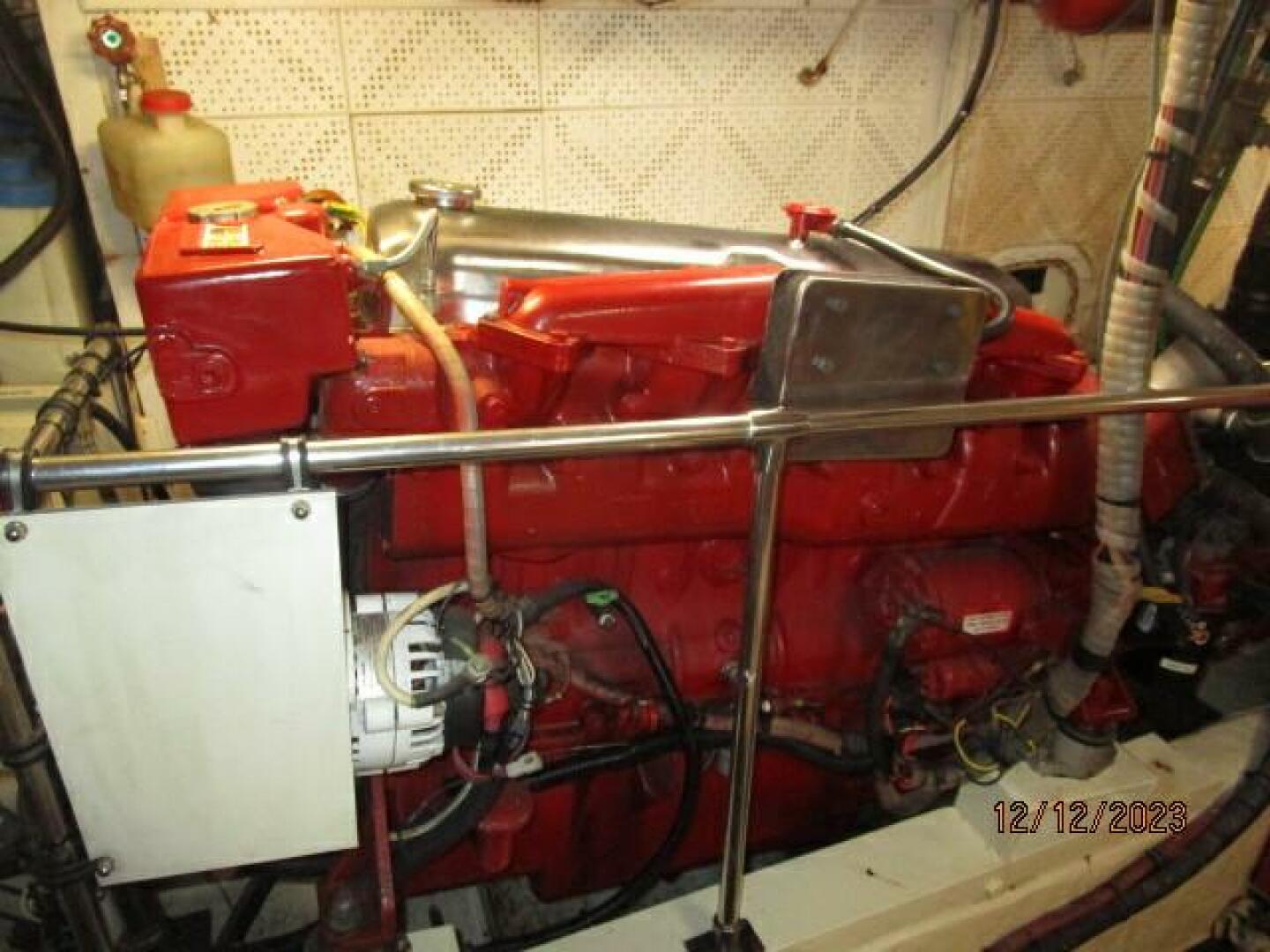 Picure of Petry's Pet