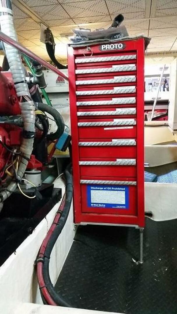 Picure of Petry's Pet