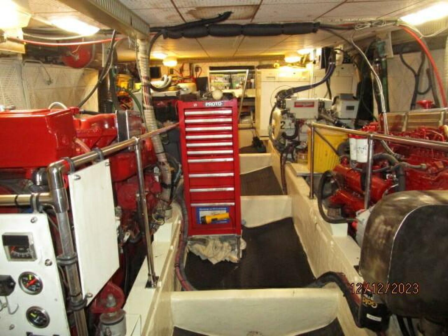 Picure of Petry's Pet