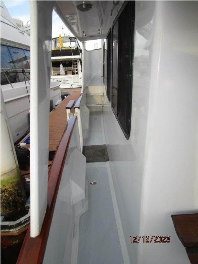 Picure of Petry's Pet