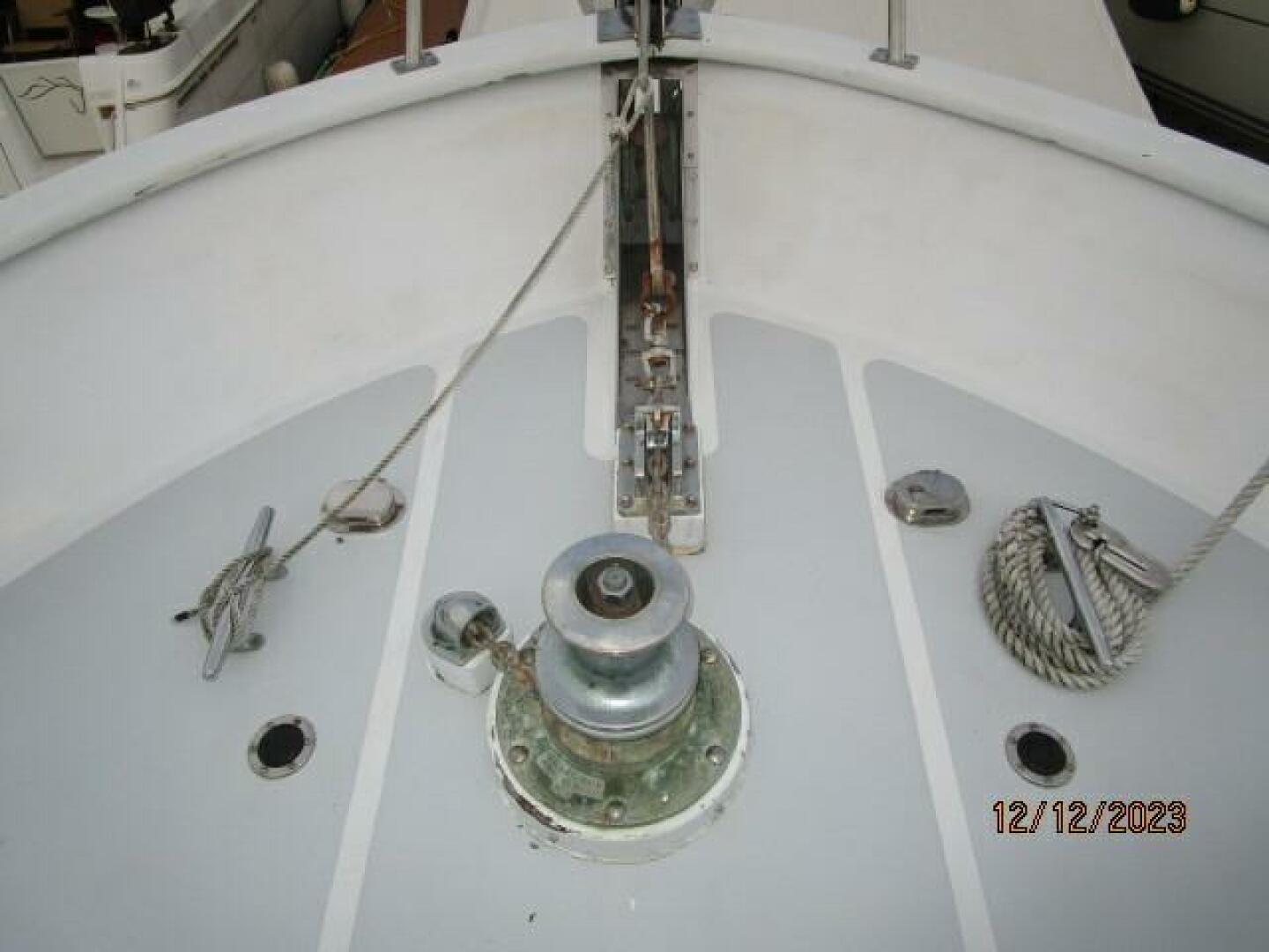 Picure of Petry's Pet