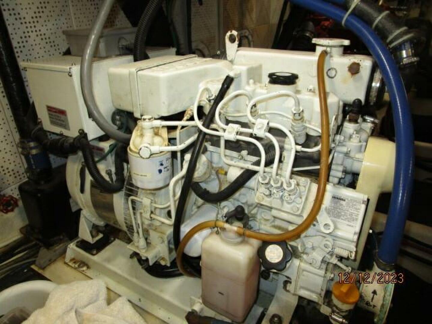 Picure of Petry's Pet