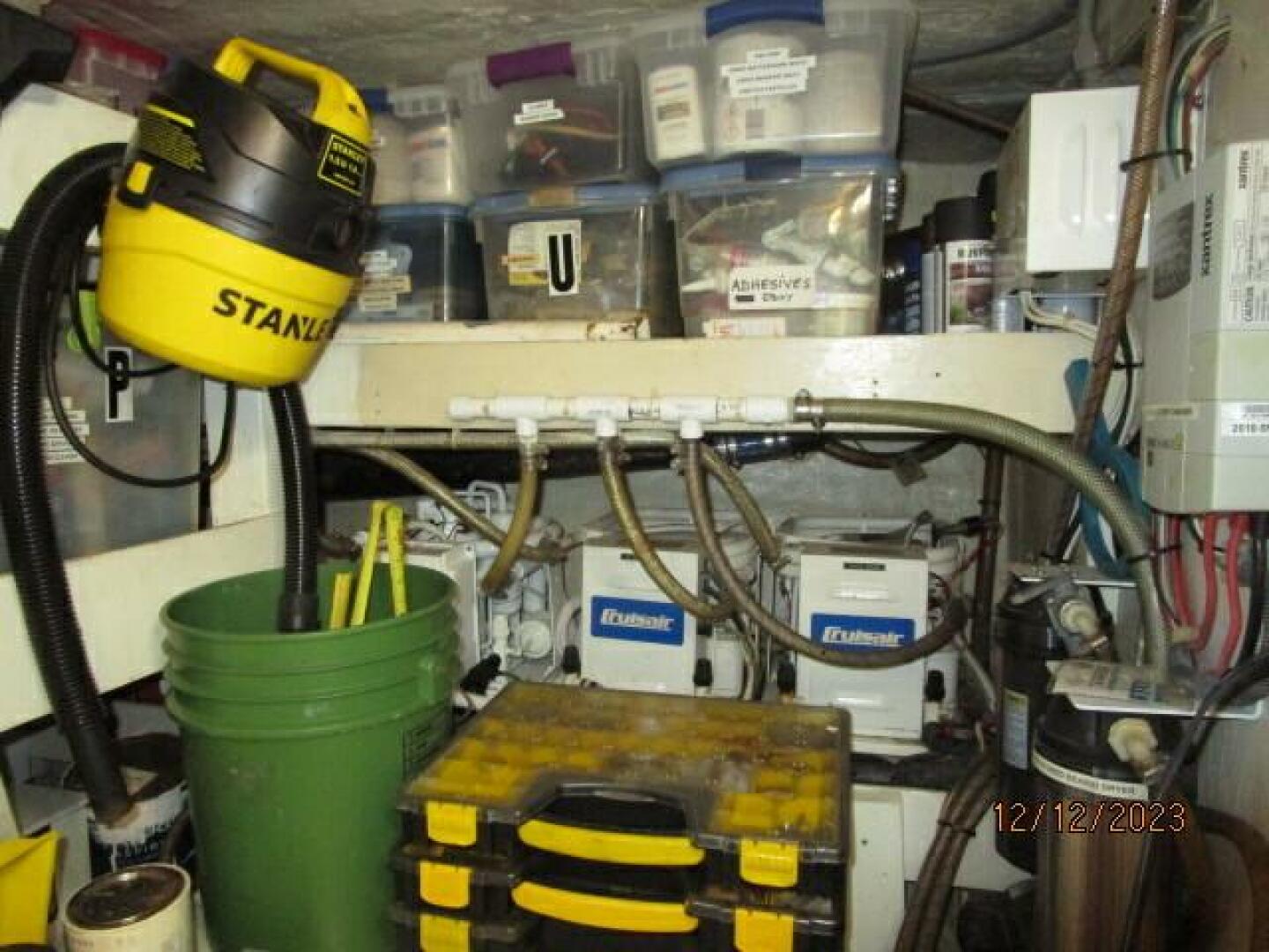 Picure of Petry's Pet