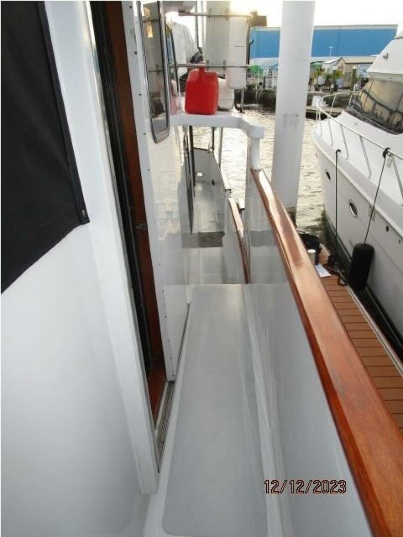 Picure of Petry's Pet