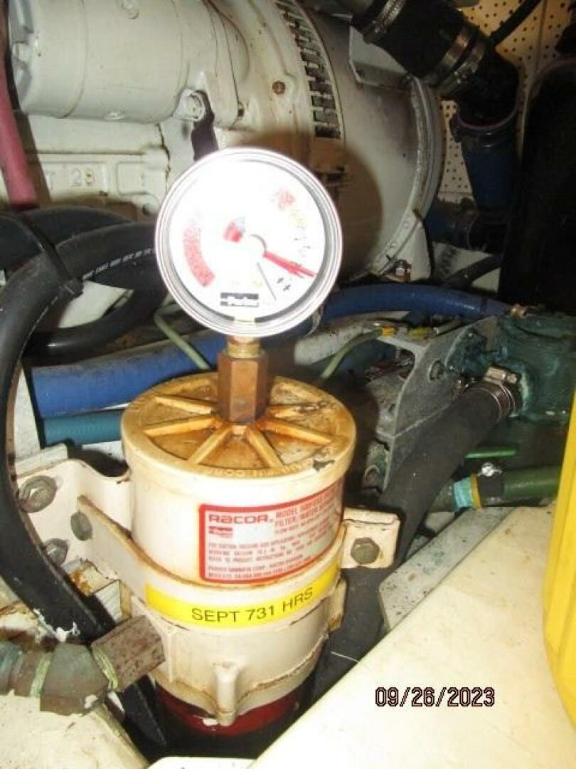 Picure of Petry's Pet