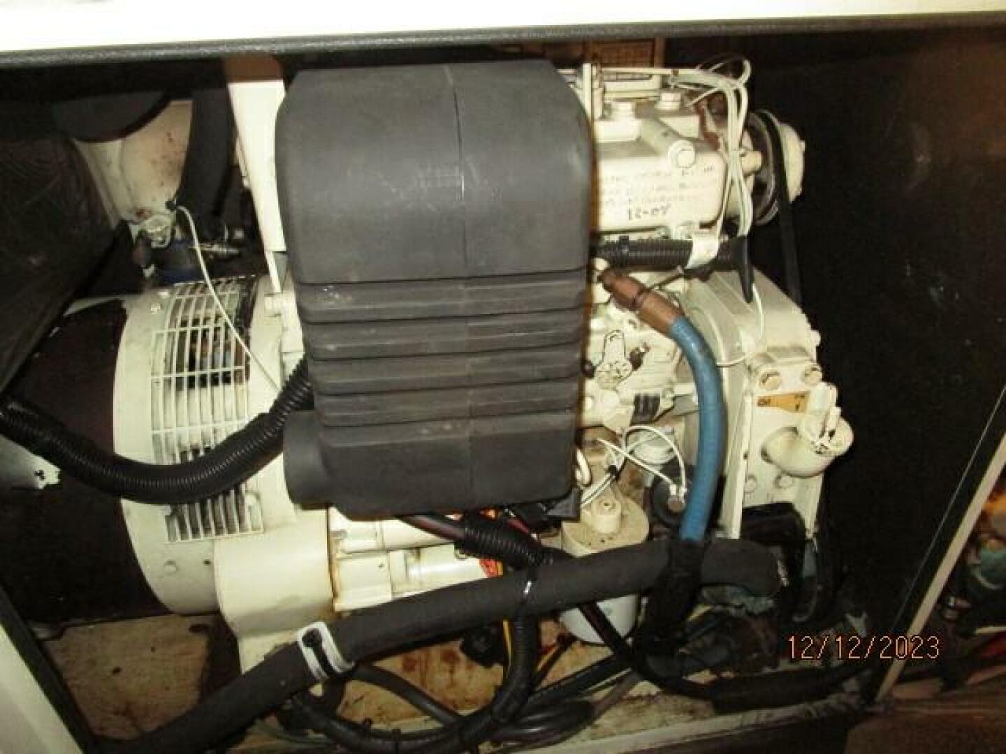 Picure of Petry's Pet