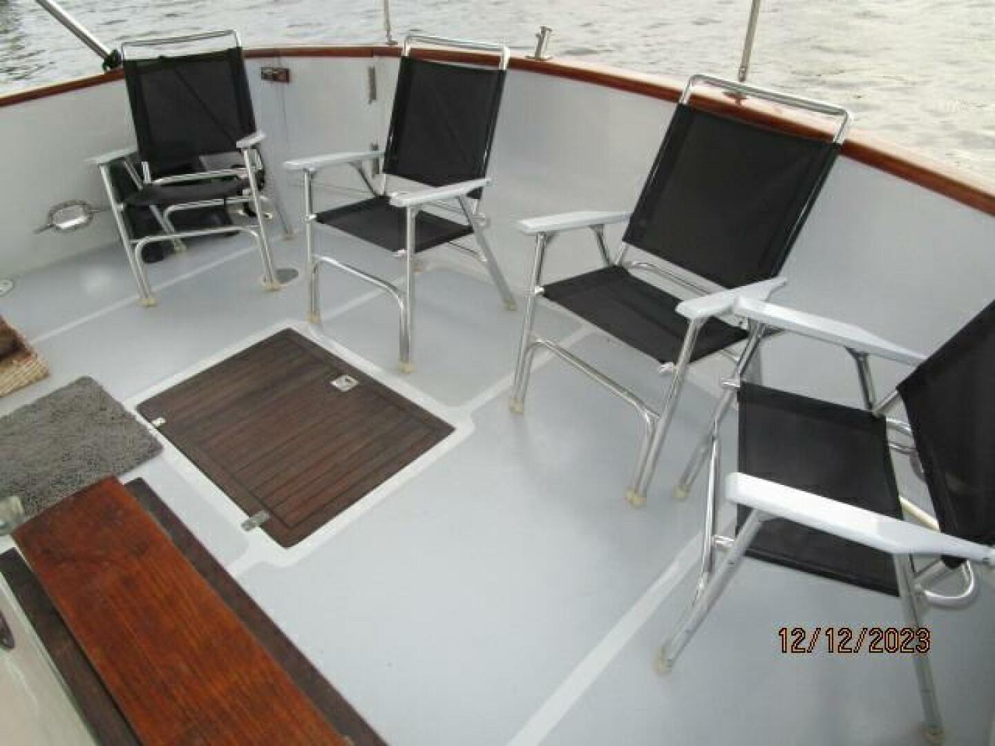 Picure of Petry's Pet