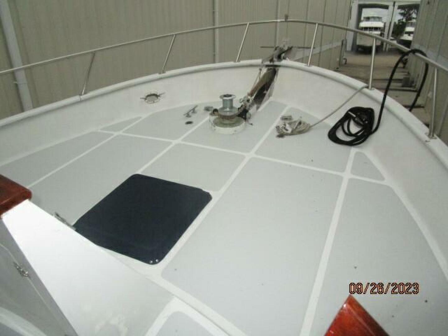 Picure of Petry's Pet