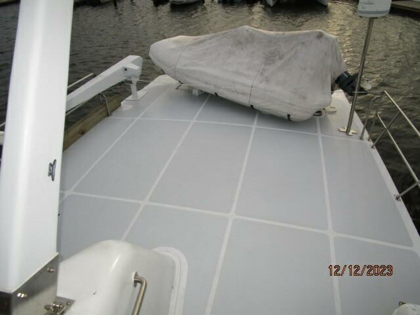 Picure of Petry's Pet