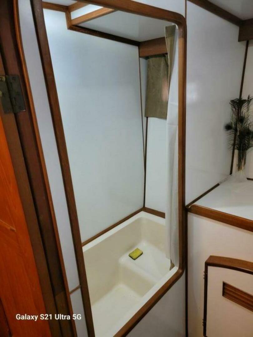 Picure of Delicate Balance